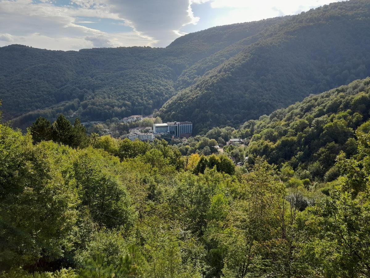 Turkish Retreat Panzió Saadet Kültér fotó